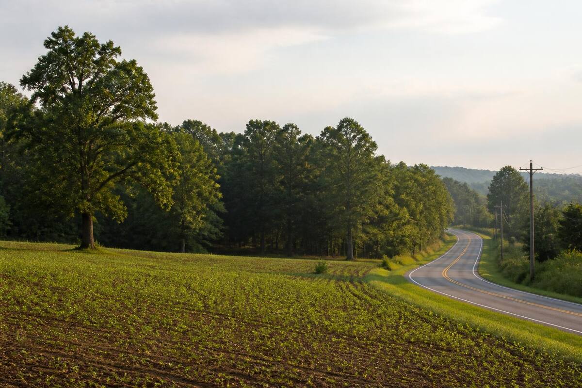 Rolling green fields edged by hardwood trees in North Mississippi at golden hour